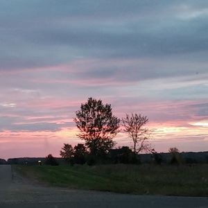 Meet your Posher, Trisha